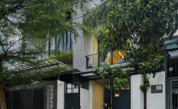 Nhà phố 90m2 với mảng cây xanh khắp nơi