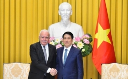 Việt Nam luôn ủng hộ sự nghiệp đấu tranh chính nghĩa giành độc lập dân tộc của nhân dân Palestine