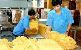 Việt Nam thành nước xuất khẩu cao su tự nhiên thứ 3 thế giới