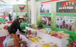 Cầu nối giúp doanh nghiệp tiêu thụ sản phẩm