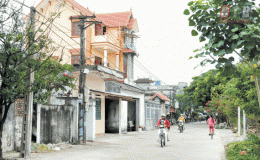 Cây “đại thụ” ở thôn Năng Tĩnh