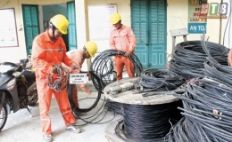 Công ty Điện lực Thái Bình: Cung ứng điện ổn định, an toàn phục vụ Tết Nguyên đán