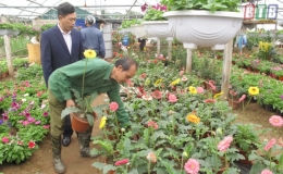 Ngày cận Tết ở làng hoa Vũ Chính