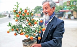 Góp hương vị tết