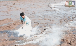 Bảo đảm cho nuôi trồng thủy sản phát triển bền vững