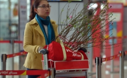 Vietjet vận chuyển mai, đào dịp Tết Kỷ Hợi