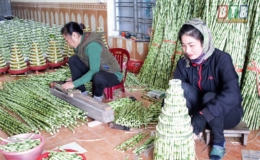 Làng phát lộc vào xuân