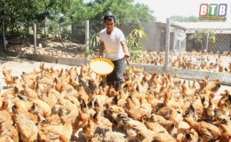Vũ Thư: Đất chuyển mình