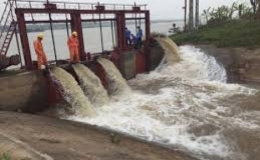 Trên 177.000 ha vụ Đông Xuân đã có nước gieo cấy