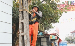 Điện lực Thái Thụy: Để cung cấp điện ổn định, an toàn dịp Tết Nguyên đán