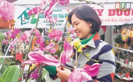 Hội chợ mừng Đảng, mừng xuân