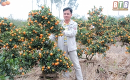 Chuyện làm giàu của anh Đại