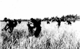 Pháo đài đồng bằng