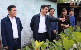 Đồng chí Bí thư Tỉnh ủy, Chủ tịch HĐND tỉnh thăm mô hình sản xuất nông nghiệp tại một số địa phương