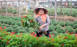 Mang sắc xuân đến mọi nhà