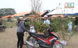 Chuẩn bị hàng hóa nông sản phục vụ Tết Nguyên đán