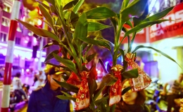 Cả nước đón giao thừa Tết Canh Tý