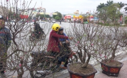 Mùng 2 Tết Canh Tý 2020, miền Bắc hết mưa giông