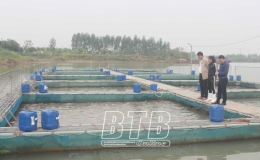 Chống rét cho thủy sản nuôi qua đông