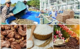 Điểm danh một số mặt hàng nông sản xuất khẩu vượt ngưỡng tỷ USD