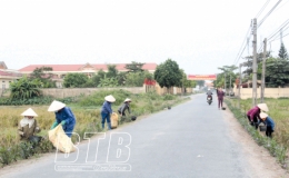 Đông Hưng xây dựng môi trường xanh, sạch, đẹp