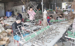 Đưa máy cấy xuất ngoại