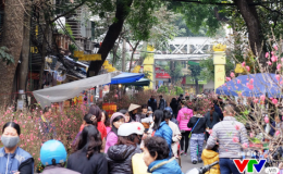 Hà Nội tổ chức 89 điểm chợ hoa xuân phục vụ tết Tân Sửu 2021
