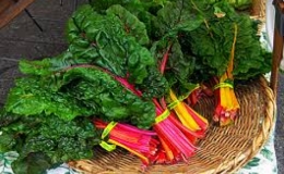 Lợi ích bất ngờ của cải cầu vồng