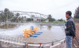 Tiền Hải: Chủ động phòng, chống rét trong nuôi trồng thủy sản