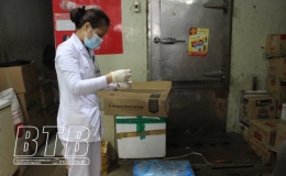 Tình hình dịch Covid-19 đến ngày 26/1