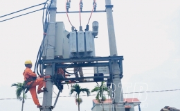 Điện lực Thái Thụy: Cấp điện ổn định, an toàn phục vụ tết Nguyên đán và đổ ải