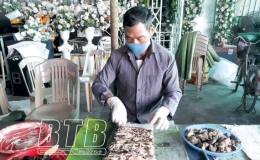 Gói tết cho mọi nhà
