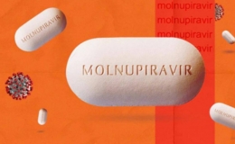 Họp xem xét cấp số đăng ký 4 loại thuốc chứa hoạt chất Molnupiravir cho 4 công ty dược trong nước