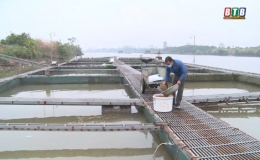 Hốt bạc trên sông