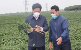 Hưng Hà: Vững vàng trong gian khó, tạo đà để phát triển
