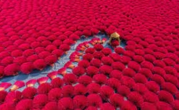 Làng hương ở Hà Nội lên báo Pháp