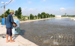 Phát triển nuôi thủy sản trong ao bán nổi