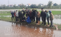 Tập huấn kỹ thuật tưới nước trong canh tác lúa thân thiện với môi trường