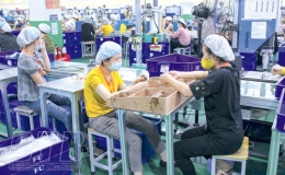 Thái Thụy: Đánh thức tiềm năng thu hút đầu tư