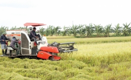 Tiềm năng, cơ hội nông nghiệp Thái Bình