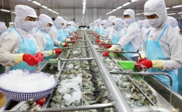 Việt Nam đứng thứ 5 về xuất khẩu tôm sang Mỹ trong năm 2021