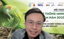 Dự đoán hệ gene chọn tạo giống bò sữa cho lợi nhuận tăng 30%