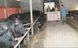 Hồng An: Tiêu thụ nông sản gặp khó