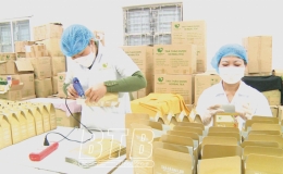Hưng Hà: Tăng tốc sản xuất phục vụ thị trường tết