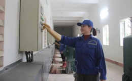 Lấy nước đổ ải cho trên 71.300ha diện tích gieo cấy