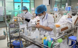 Mang mùa xuân đến bên người bệnh