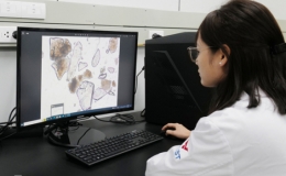 Nhà khoa học có cơ hội đăng bài miễn phí trên Nature