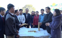 Nông sản Việt Nam tìm cơ hội chinh phục thị trường Nhật Bản
