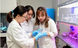 Ứng dụng công nghệ chỉnh sửa gien trong cải tạo giống cây trồng
