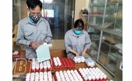 5 sản phẩm chăn nuôi được công nhận sản phẩm OCOP
